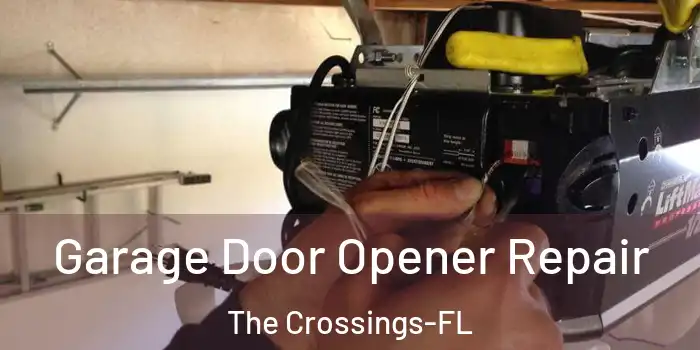 Garage Door Opener Repair The Crossings-FL