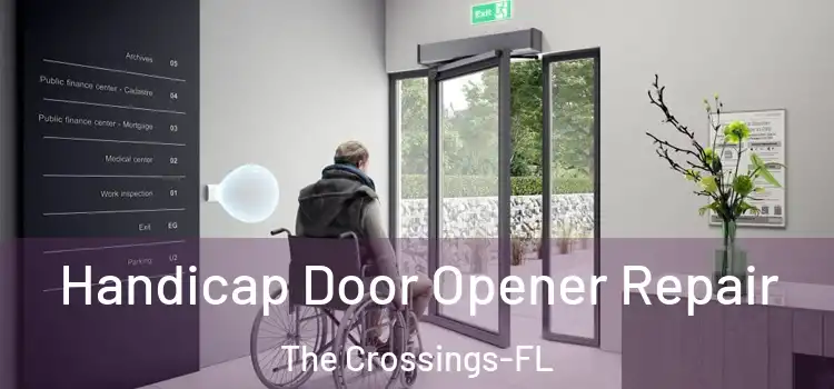  Handicap Door Opener Repair The Crossings-FL